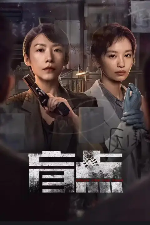 《盲点 2025》封面