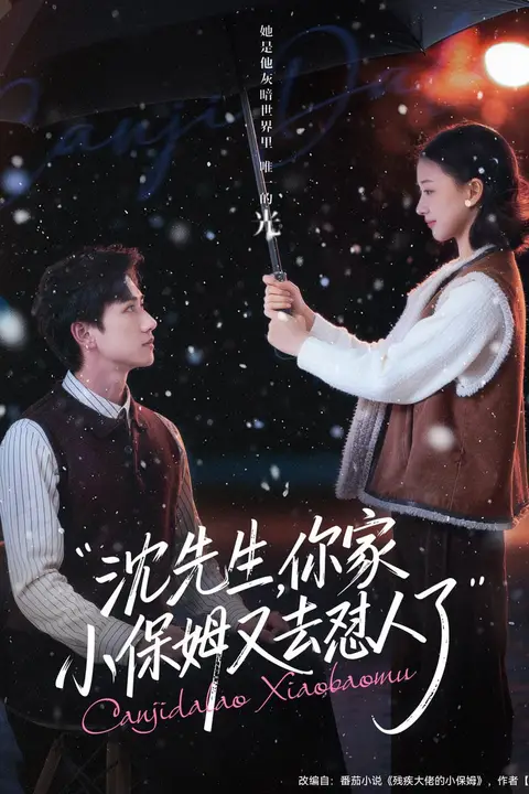 《沈先生，你家小保姆又去怼人了》封面