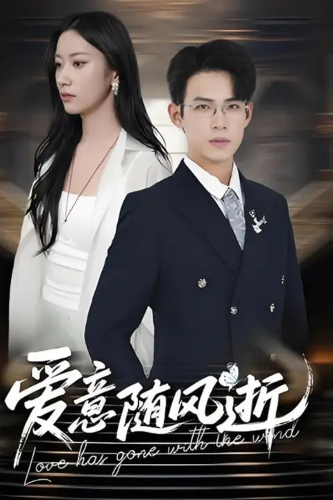 《爱意随风逝》封面