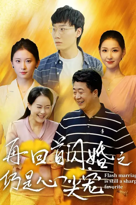 《再回首闪婚之仍是心尖宠》封面