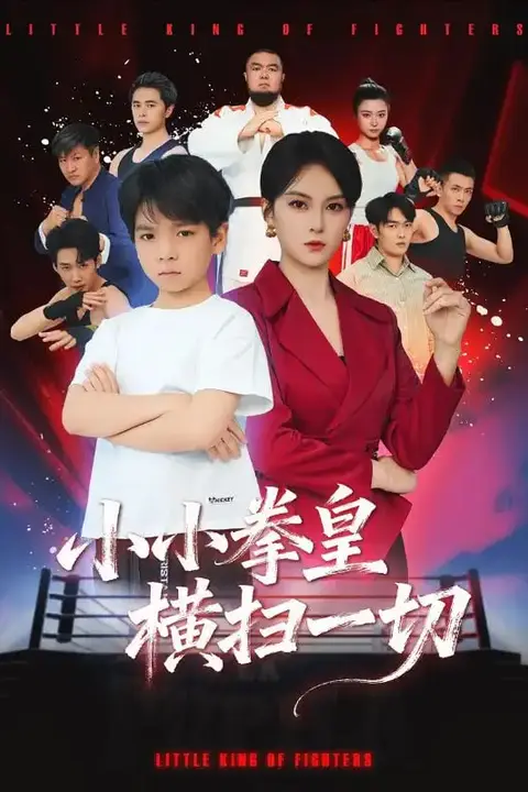 《小小拳皇横扫一切》封面
