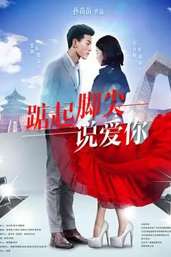 《踮起脚尖说爱你》封面