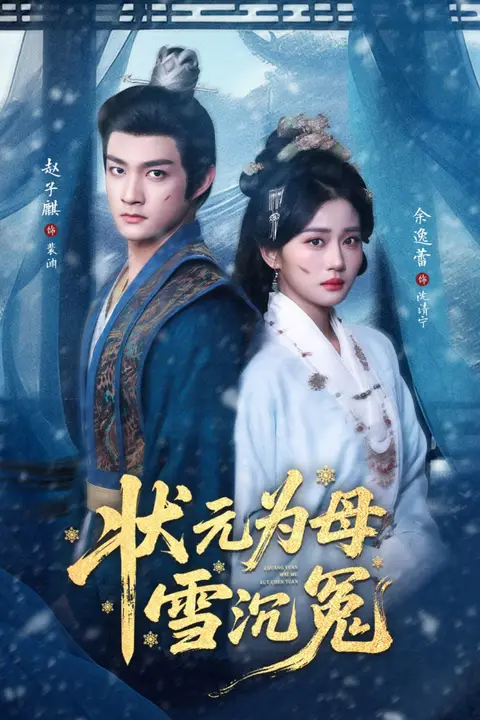 《状元为母雪沉冤》封面