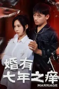 《婚有七年之痒》封面