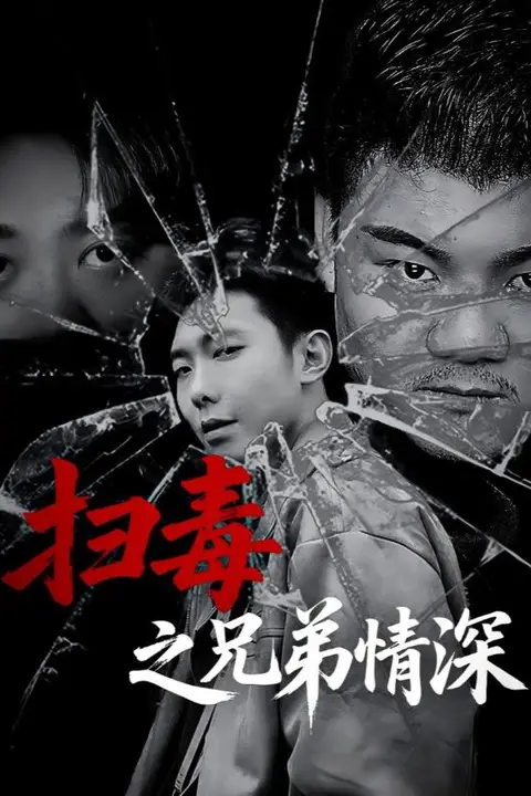 《扫毒之兄弟情深》封面