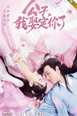 《公子，我娶定你了》封面