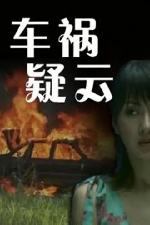 《车祸疑云》封面