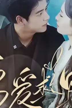 《偏爱救赎》封面