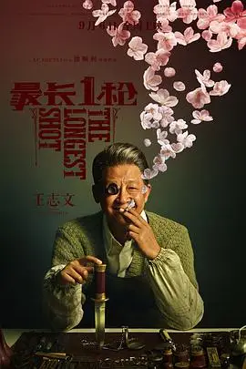 《最长一枪》封面