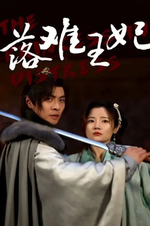 《落难王妃》封面