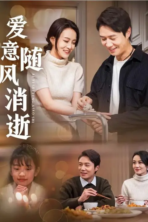 《爱意随风消逝》封面