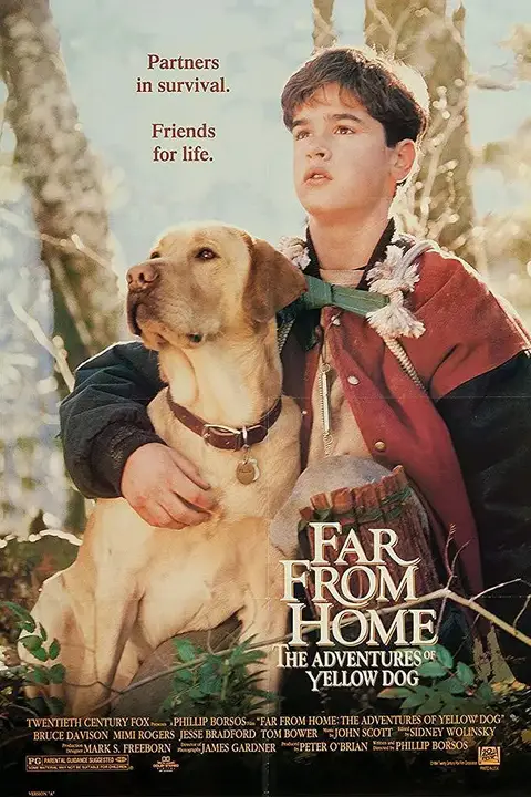 《小黄历险记》封面