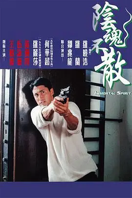 《阴魂不散（国语版）》封面