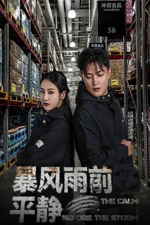 《暴风雨前的平静》封面