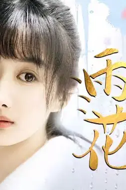 《雨落花正开》封面