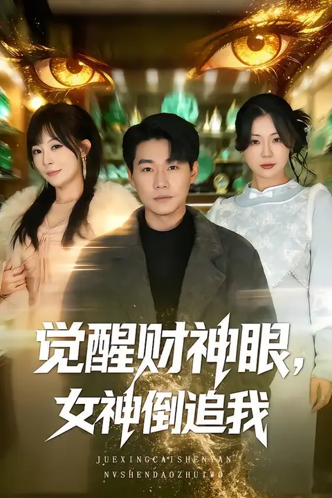 《觉醒财神眼，女神倒追我》封面