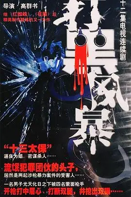 《打黑风暴》封面