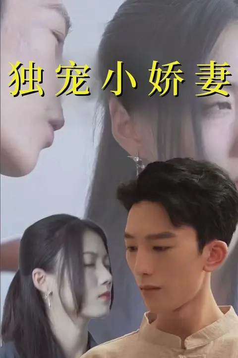 《独宠小娇妻》封面