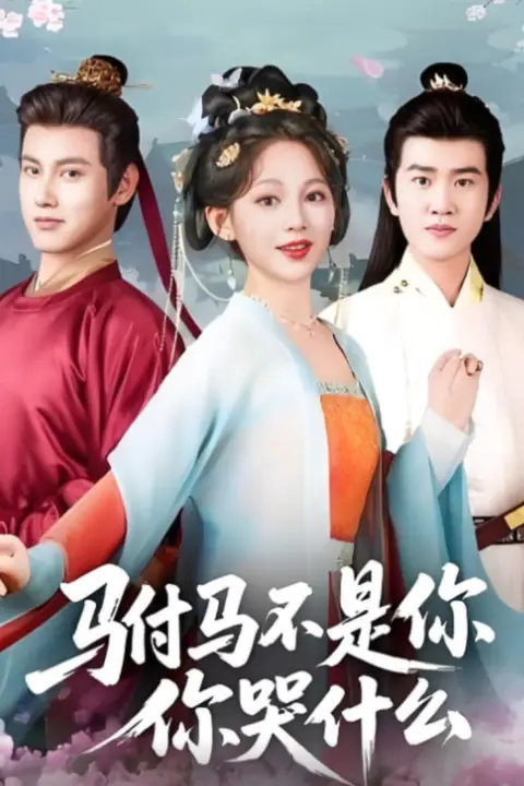《驸马不是你,你哭什么》封面