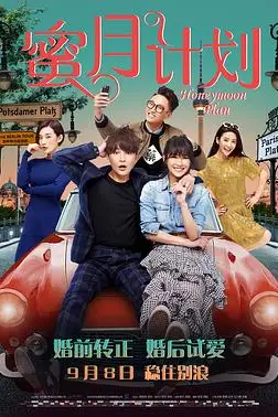 《蜜月计划》封面