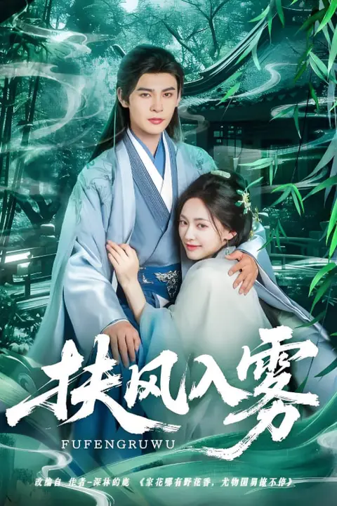 《扶风入雾》封面