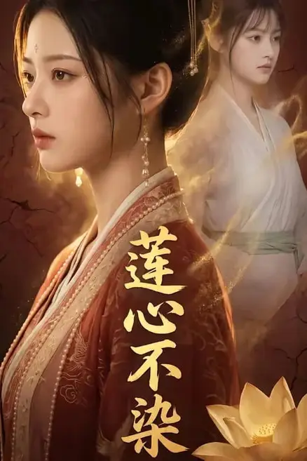 《莲心不染》封面