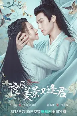 《良辰美景又逢君》封面
