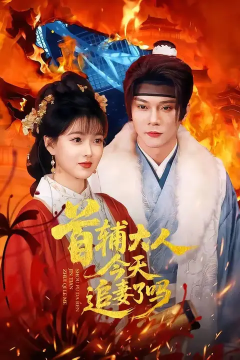 《首辅大人,今天追妻了吗?》封面
