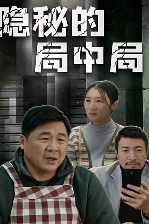 《阳山城的局中局》封面