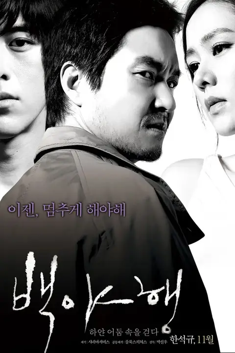 《白夜行 2009》封面