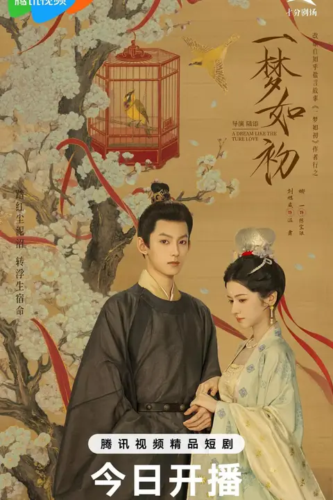 《一梦如初》封面