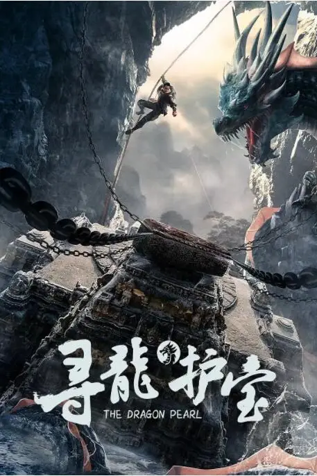 《寻龙护宝》封面