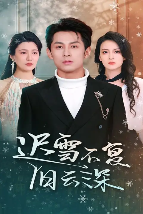 《迟雪不复旧云深》封面