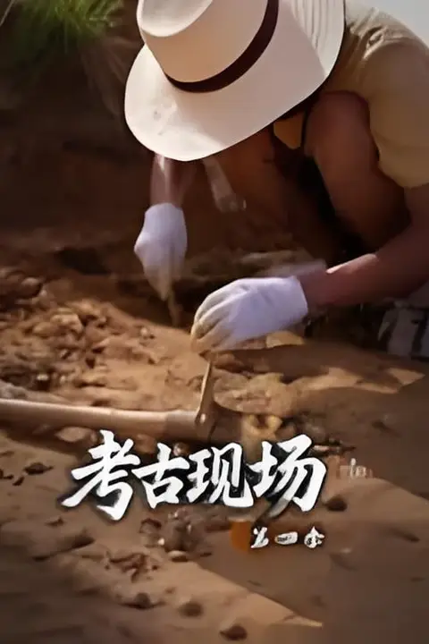 《X档案·考古现场第四季》封面