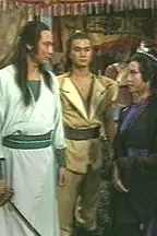 《侠影神剑》封面