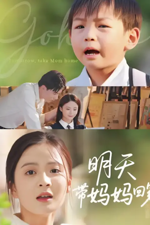 《明天带妈妈回家》封面