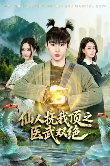 《仙人抚我顶之医武双绝》封面