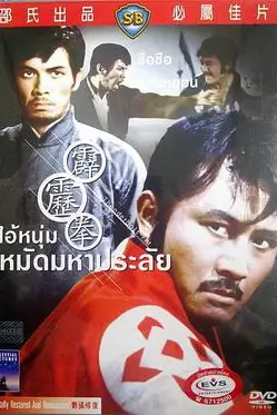 《霹雳拳》封面