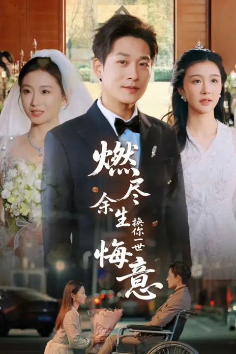 《燃尽余生换你一世悔意》封面