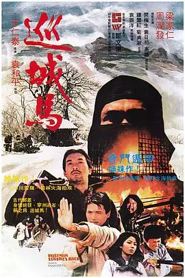 《巡城马》封面