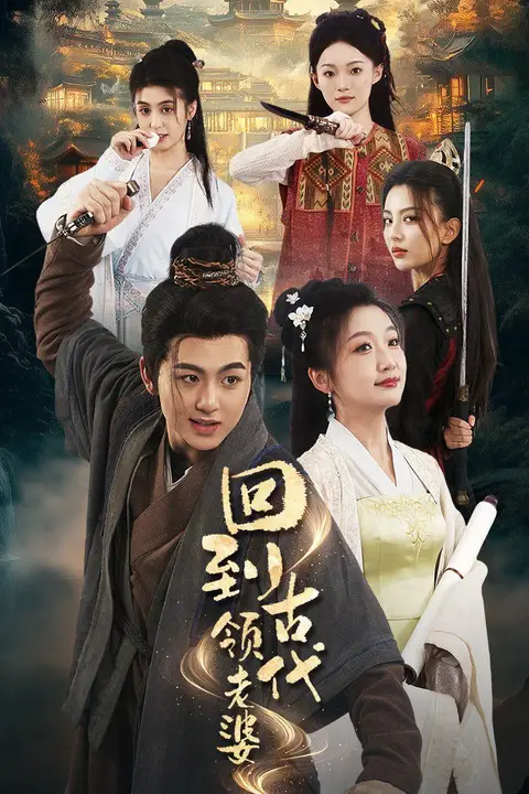 《回到古代领老婆》封面