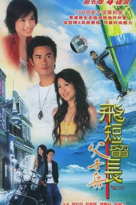 《飞短留长父子兵》封面