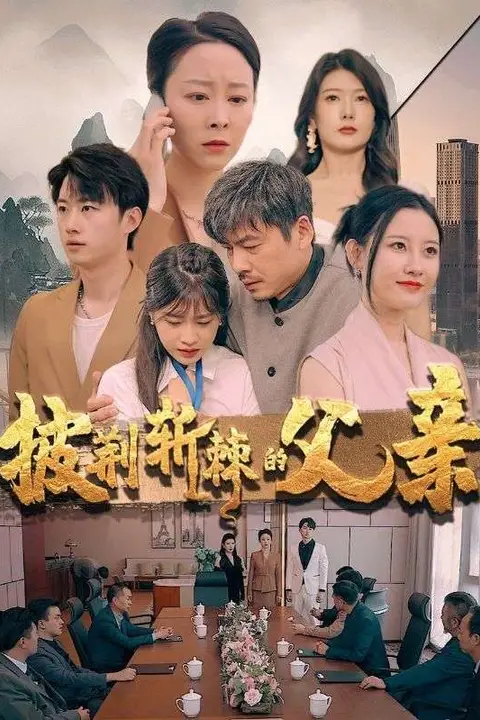 《披荆斩棘的父亲》封面