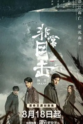 《非常目击》封面