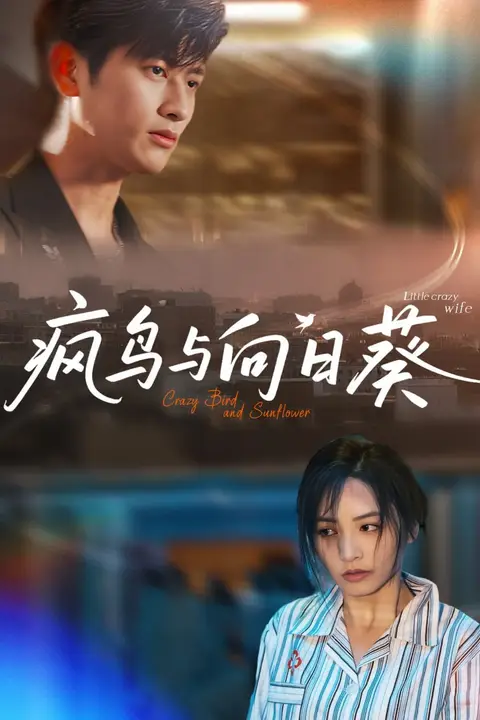 《疯鸟与向日葵》封面