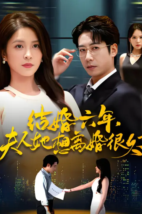《结婚六年夫人她想离婚很久了》封面