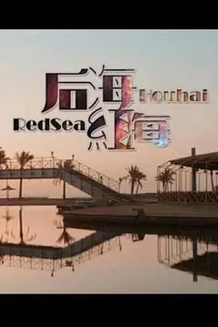 《后海·红海》封面