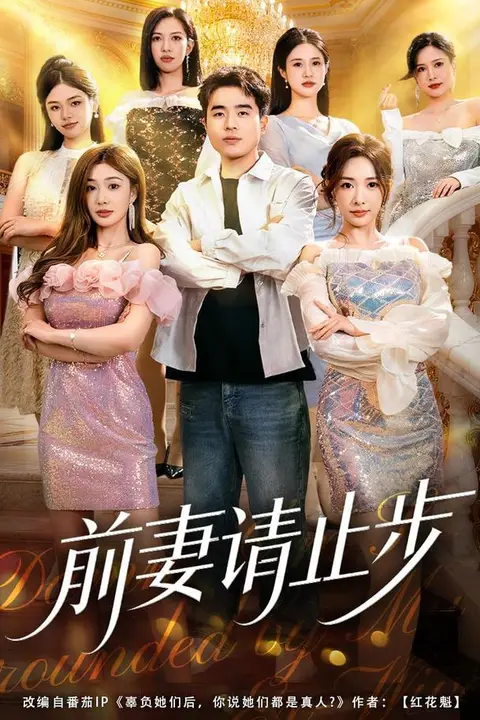 《前妻请止步》封面