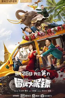 《冒牌大保镖》封面