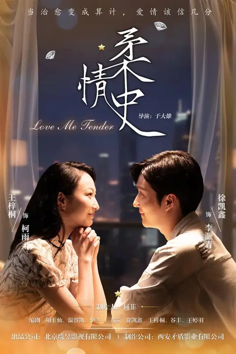 《柔情史》封面